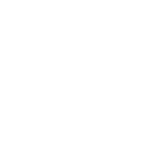 2K Games logo