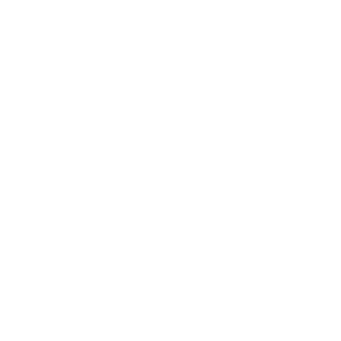 Singularity 6 logo