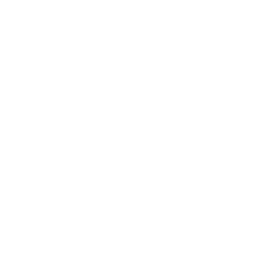 Turtle Rock logo